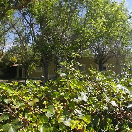 Cortijo La Cartuja De Alcantara *