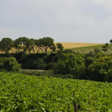 컨트리하우스 Cortijo La Cartuja De Alcantara