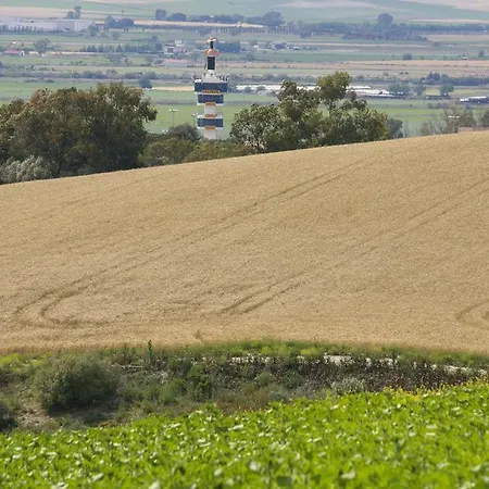 Cortijo La Cartuja De Alcantara