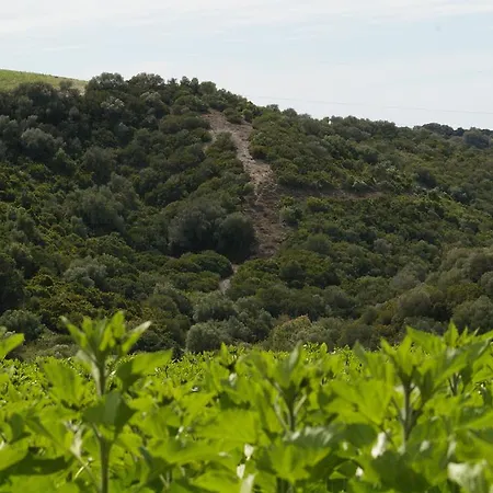 컨트리하우스 Cortijo La Cartuja De Alcantara