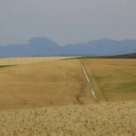 Cortijo La Cartuja De Alcantara 컨트리하우스