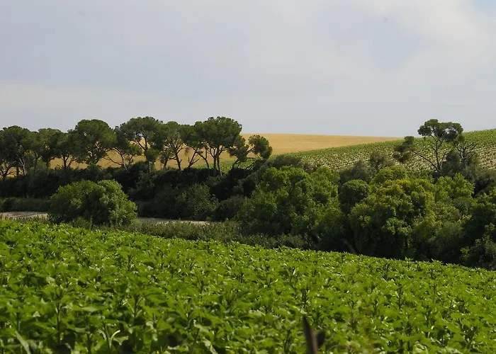 컨트리하우스 Cortijo La Cartuja De Alcantara