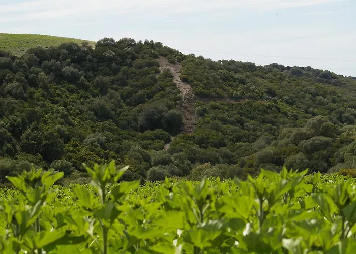 컨트리하우스 Cortijo La Cartuja De Alcantara