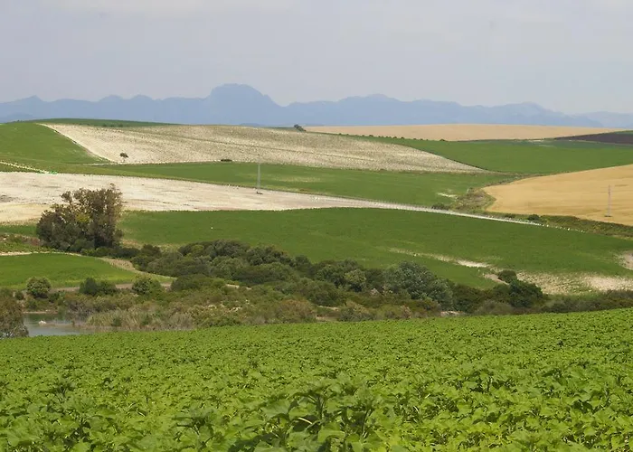 Cortijo La Cartuja De Alcantara *