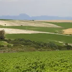 Cortijo La Cartuja De Alcantara *