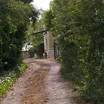 Cortijo La Cartuja De Alcantara