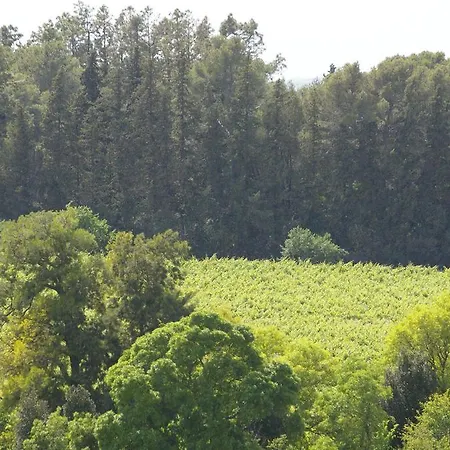 Cortijo La Cartuja De Alcantara * جيريز