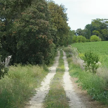 Cortijo La Cartuja De Alcantara منزل ريفي