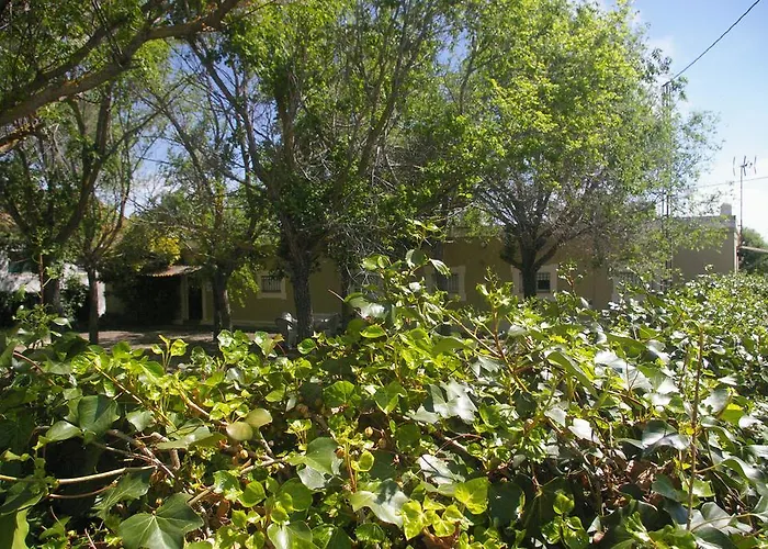 Cortijo La Cartuja De Alcantara *