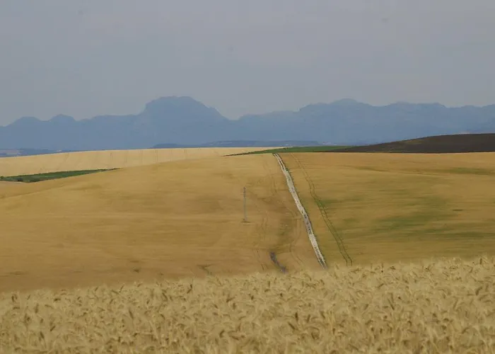 Cortijo La Cartuja De Alcantara Country house