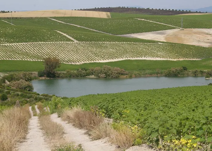 Cortijo La Cartuja De Alcantara Country house