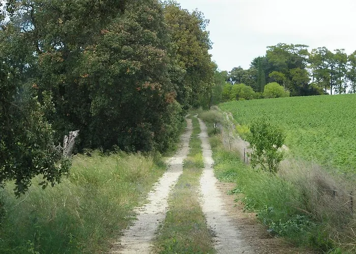Cortijo La Cartuja De Alcantara Country house