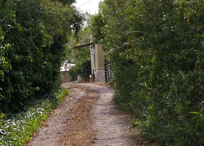 Cortijo La Cartuja De Alcantara